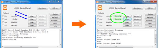 XAMPP is running